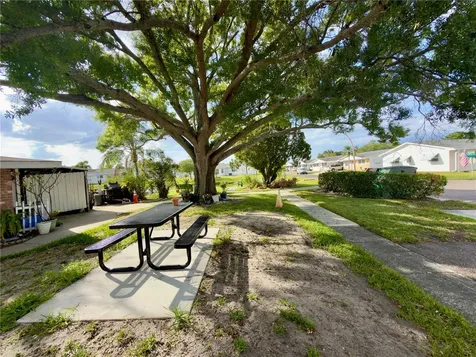 9805 Lily Street N Pinellas Park FL 33782