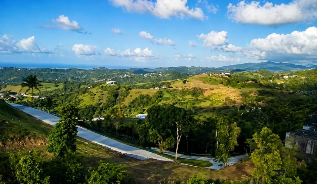 Loma Del Viento Bo. Masas Gurabo PR 00778