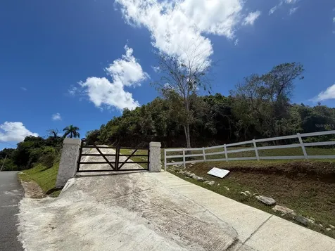 Loma Del Viento Bo. Masas Gurabo PR 00778
