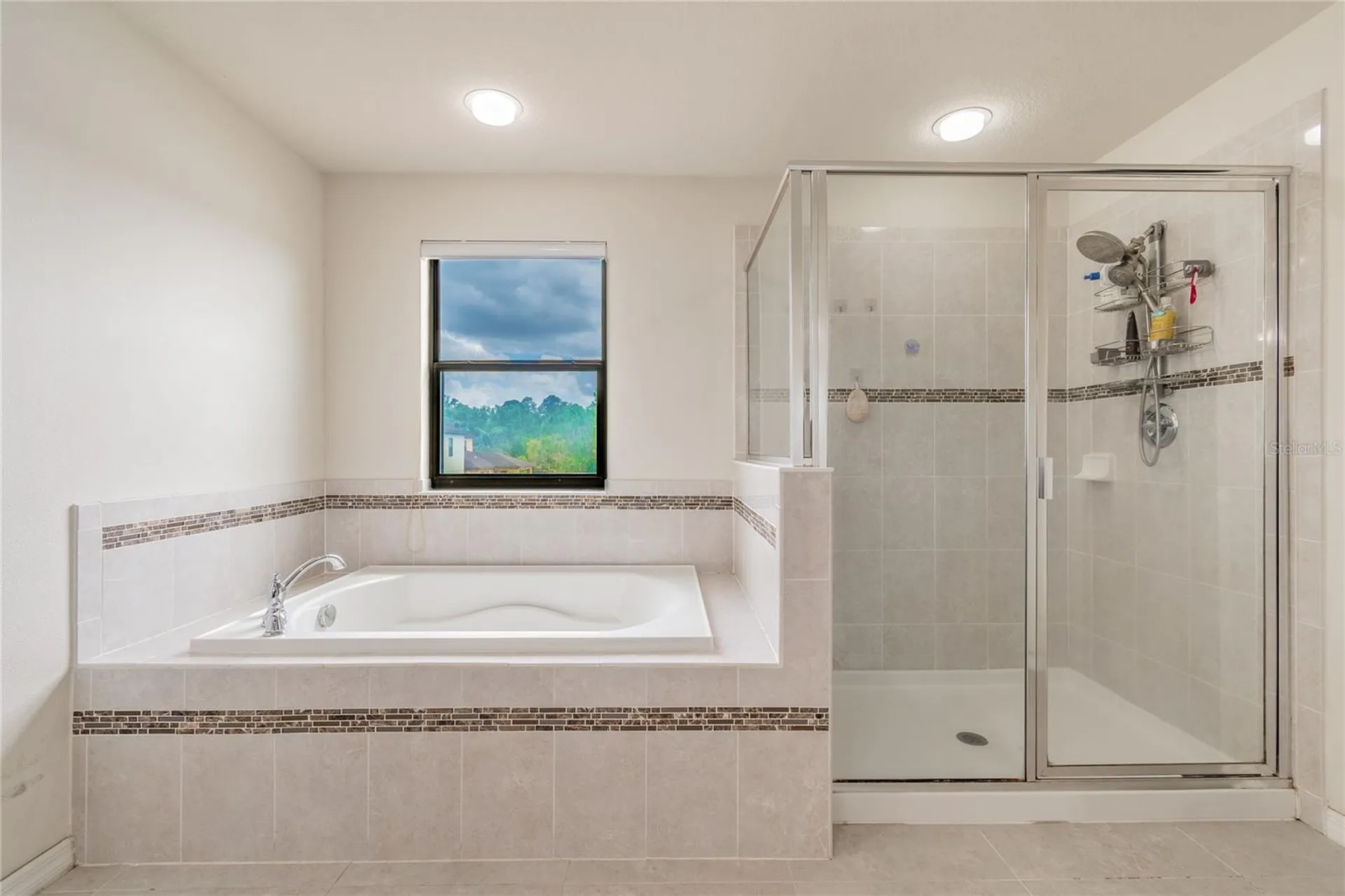 11027 Tahiti Isle Lane Tampa FL 33647