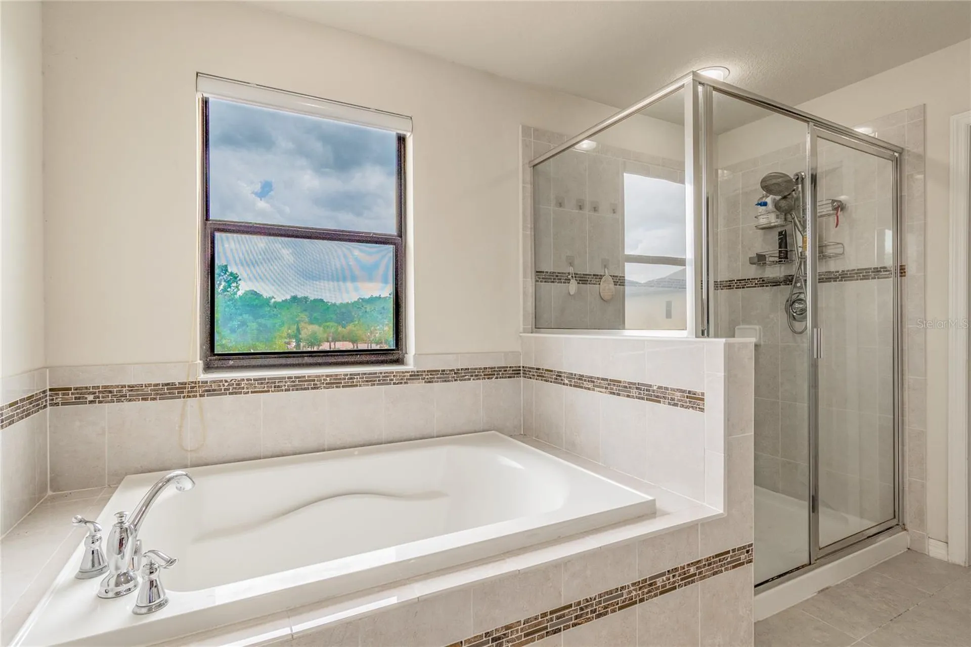 11027 Tahiti Isle Lane Tampa FL 33647