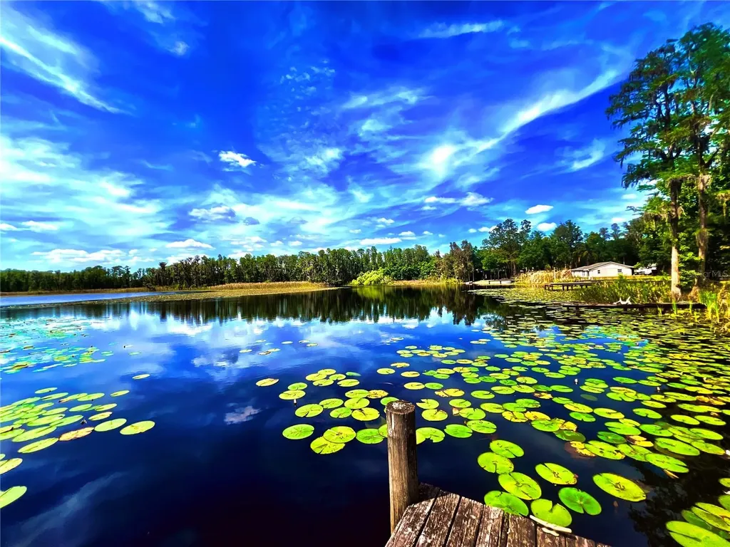 1012 Kingsborough Gardens Court Lutz FL 33548