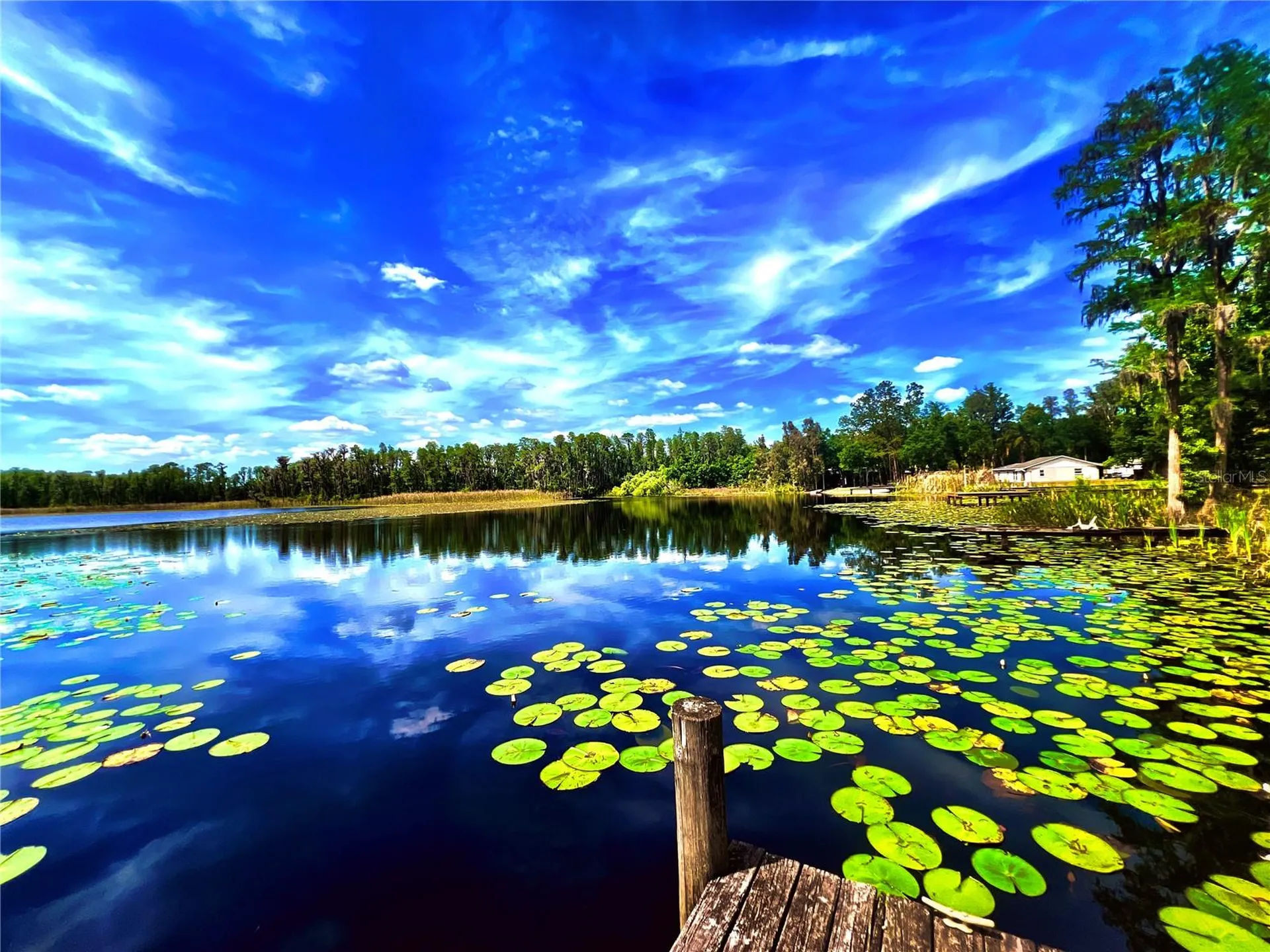 1012 Kingsborough Gardens Court Lutz FL 33548