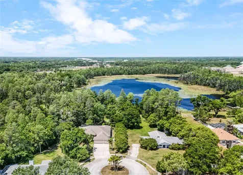 1012 Kingsborough Gardens Court Lutz FL 33548