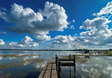 236 Caladium Avenue Lake Alfred FL 33850