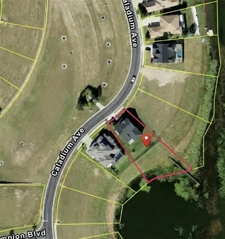 236 Caladium Avenue Lake Alfred FL 33850