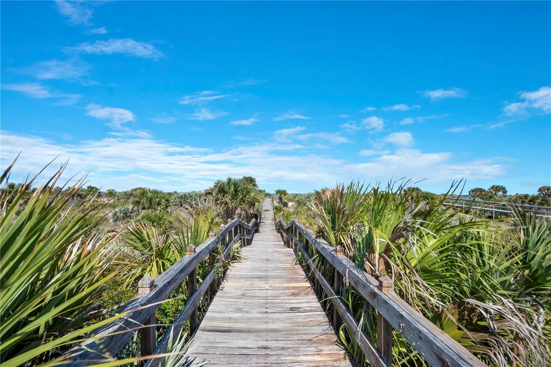 2117 Ocean Drive New Smyrna Beach FL 32169