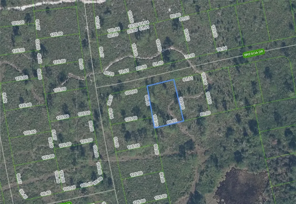 7448 Bresica Drive Sebring FL 33872
