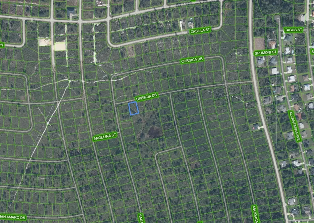 7448 Bresica Drive Sebring FL 33872
