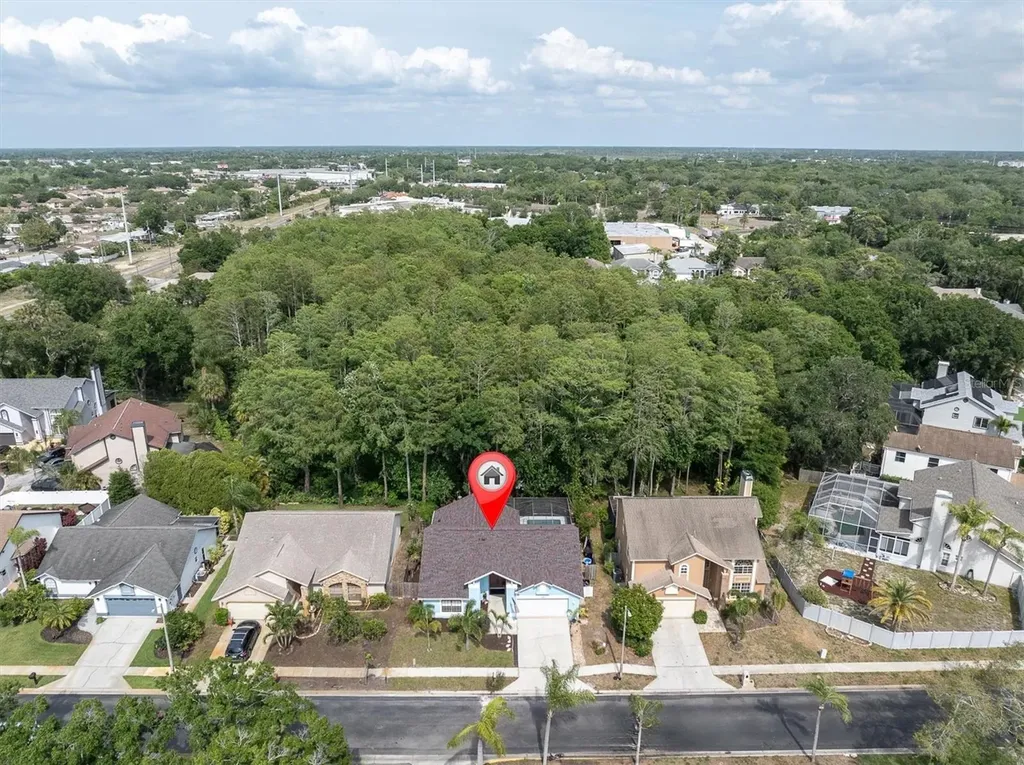 1938 Wood Thrush Street Tarpon Springs FL 34689