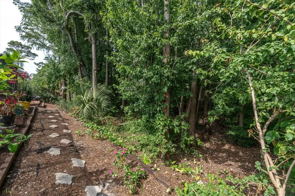 1938 Wood Thrush Street Tarpon Springs FL 34689