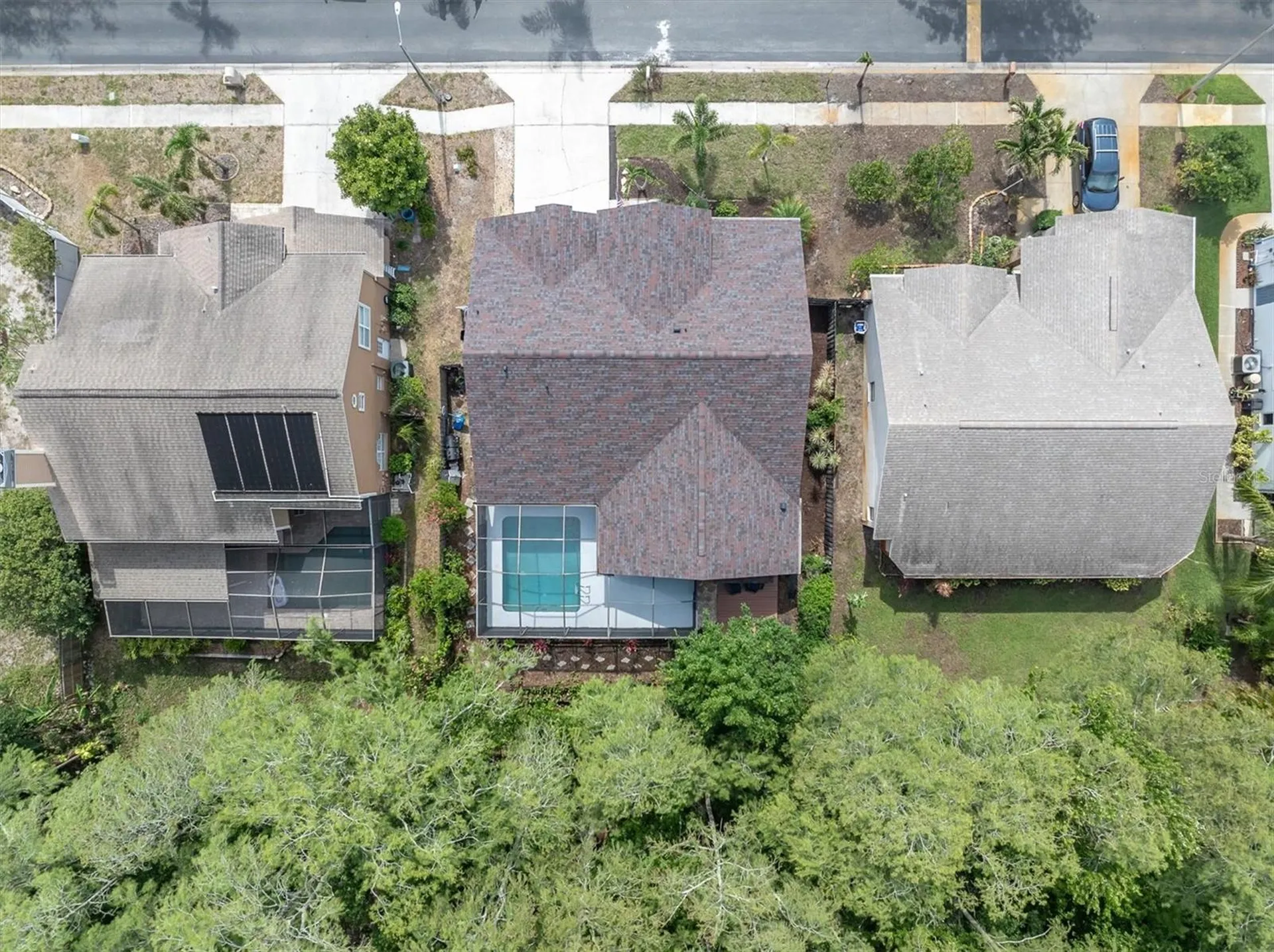 1938 Wood Thrush Street Tarpon Springs FL 34689
