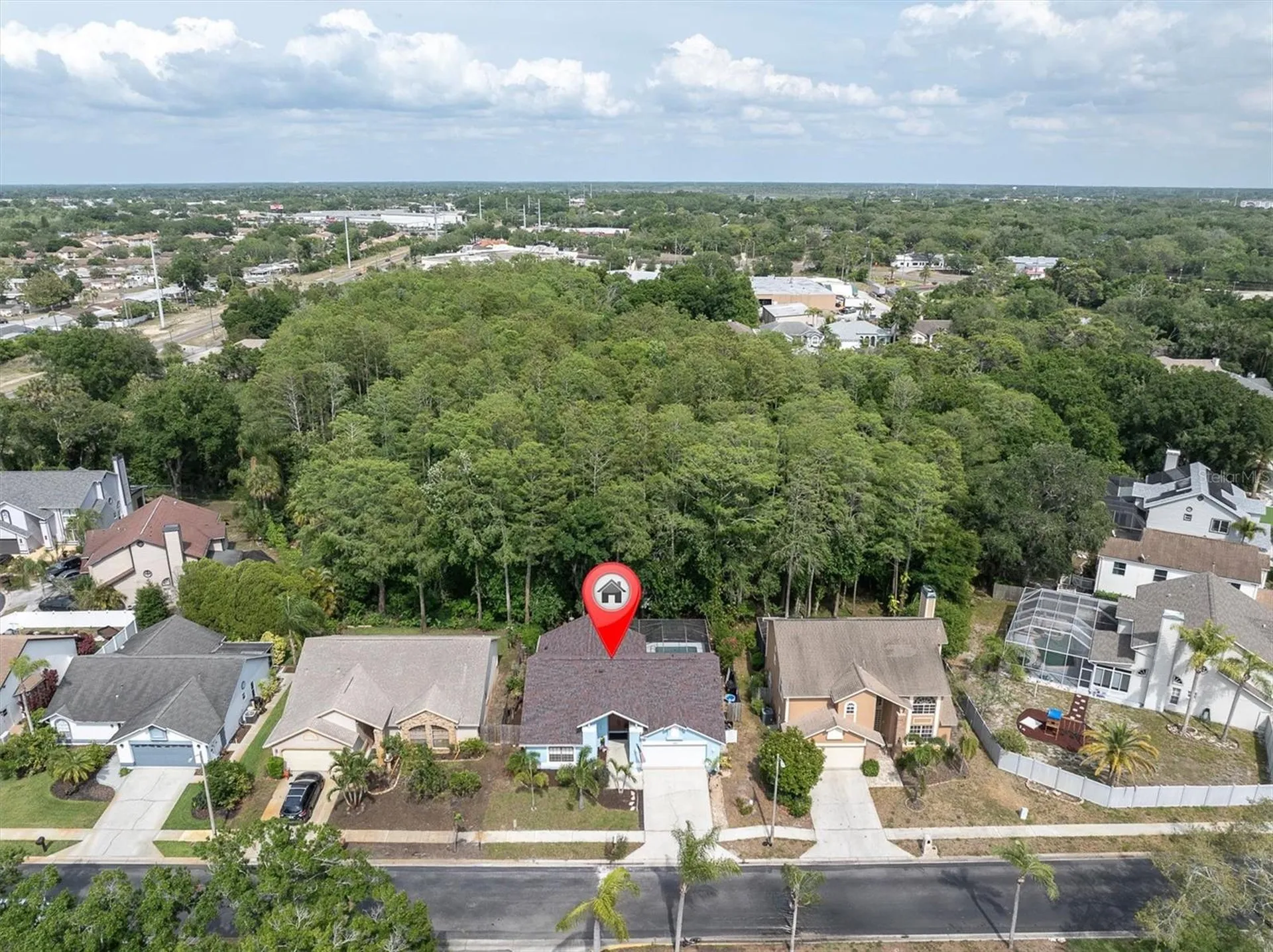 1938 Wood Thrush Street Tarpon Springs FL 34689