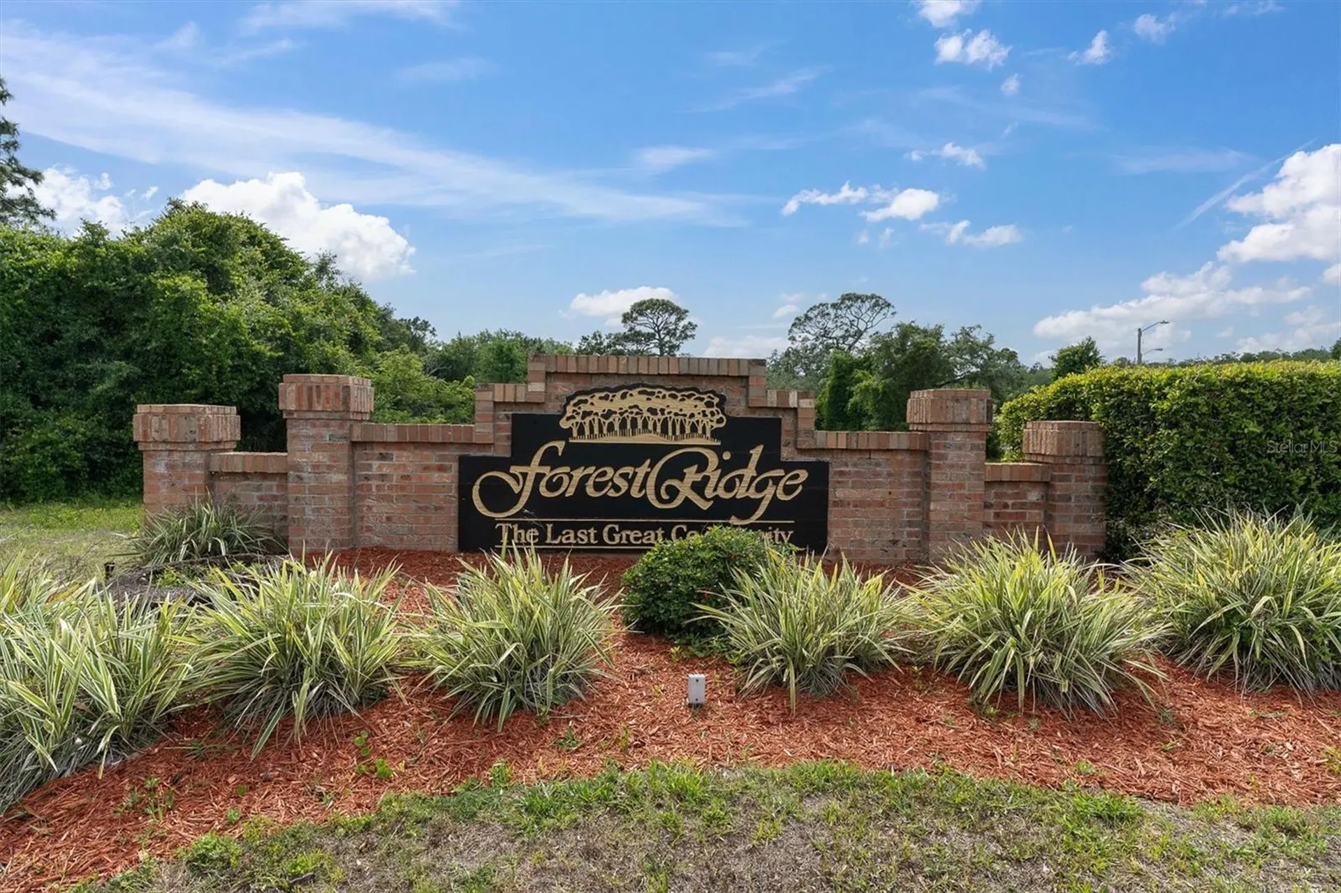 1938 Wood Thrush Street Tarpon Springs FL 34689