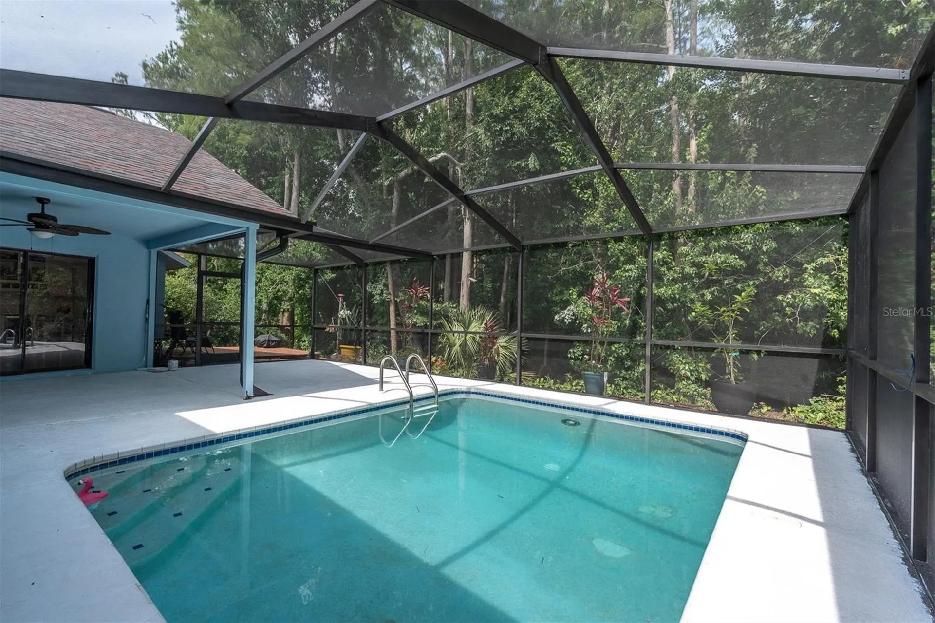 1938 Wood Thrush Street Tarpon Springs FL 34689