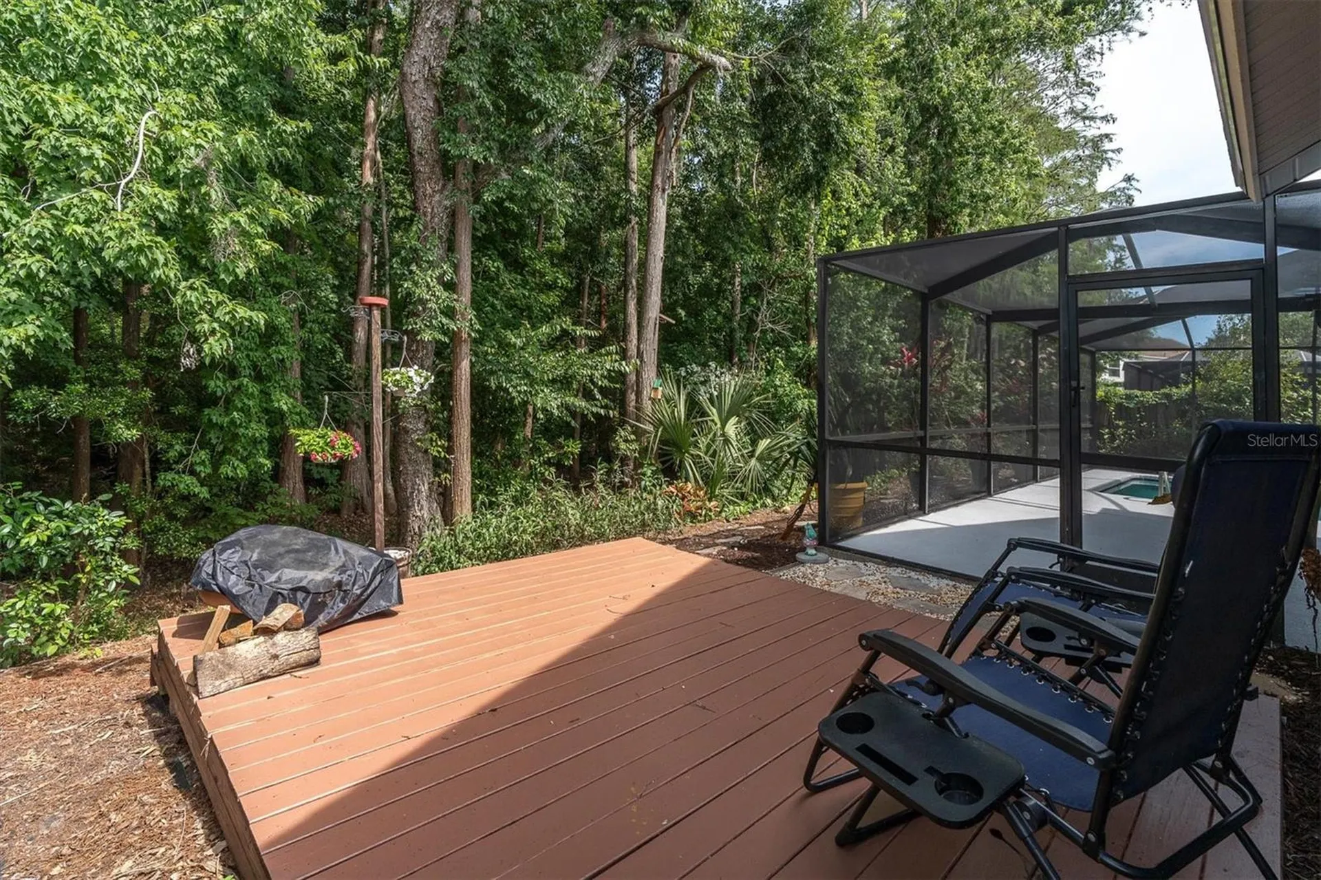 1938 Wood Thrush Street Tarpon Springs FL 34689