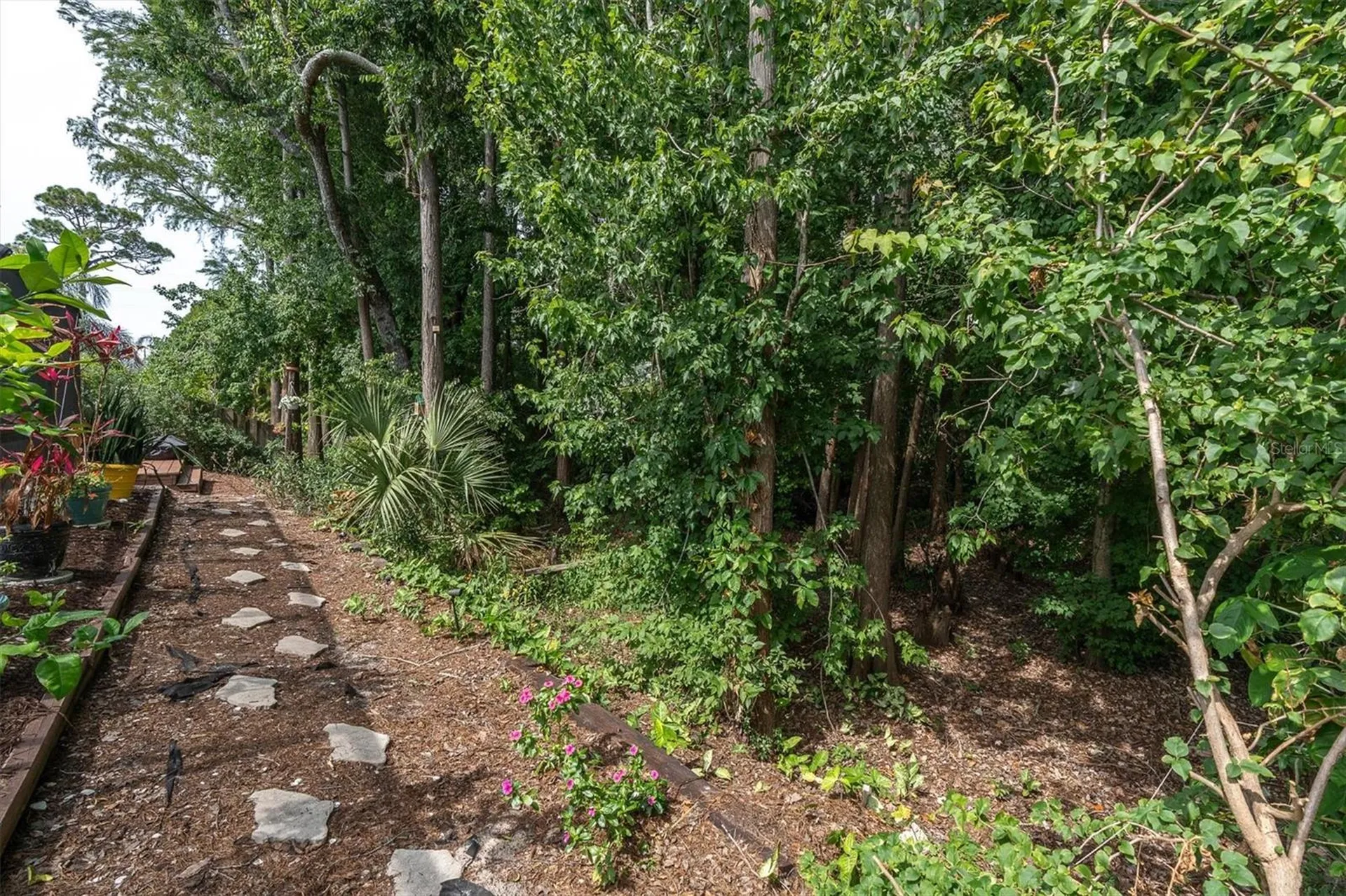 1938 Wood Thrush Street Tarpon Springs FL 34689