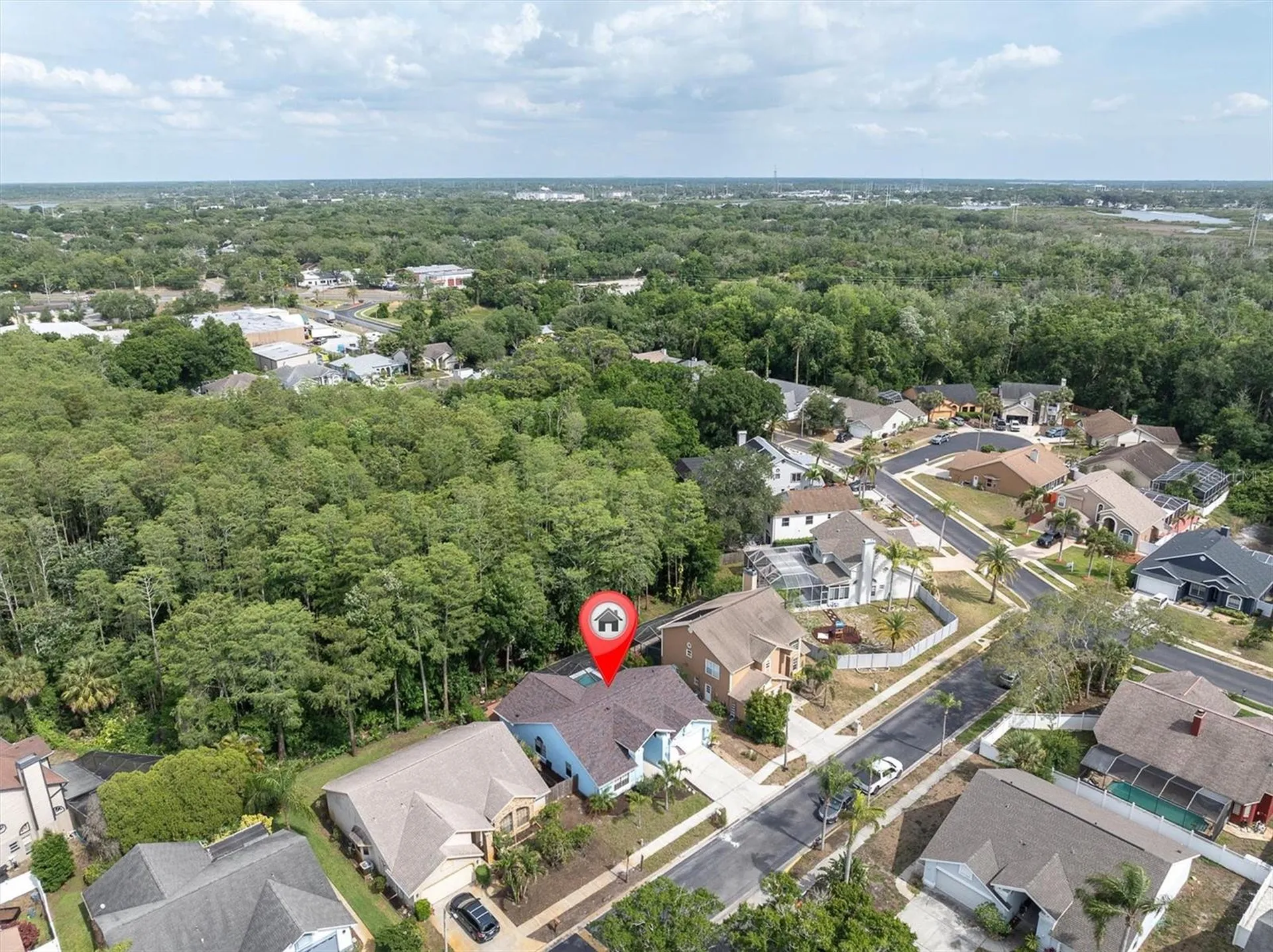 1938 Wood Thrush Street Tarpon Springs FL 34689
