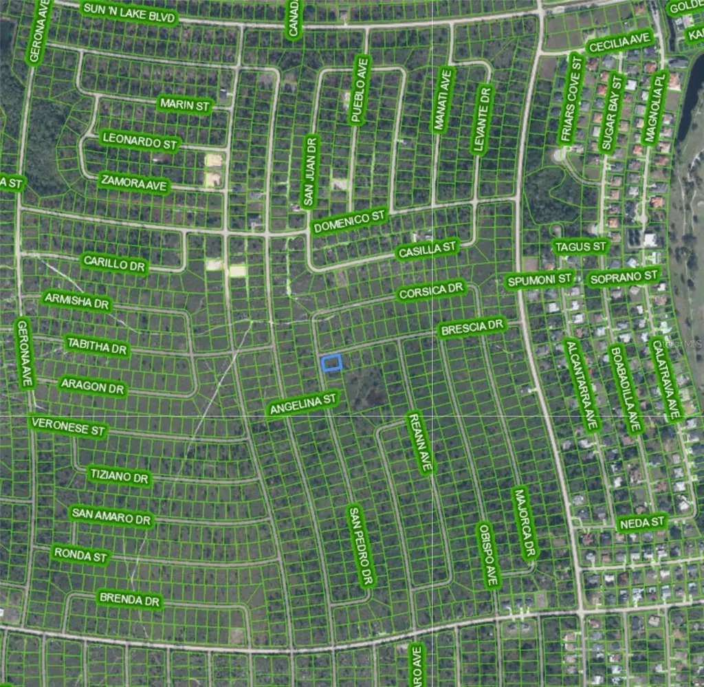 4724 San Pedro Drive Sebring FL 33872