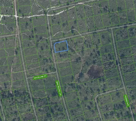4724 San Pedro Drive Sebring FL 33872