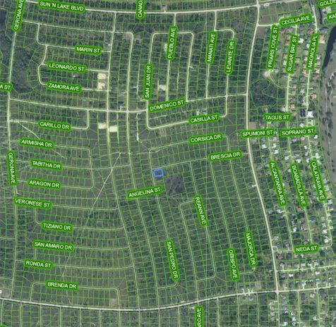 4724 San Pedro Drive Sebring FL 33872