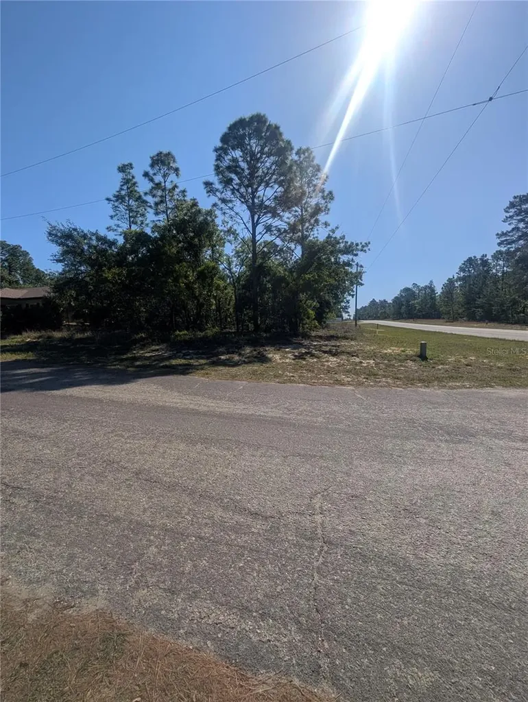 6443 N Dunlap Terrace Citrus Springs FL 34433