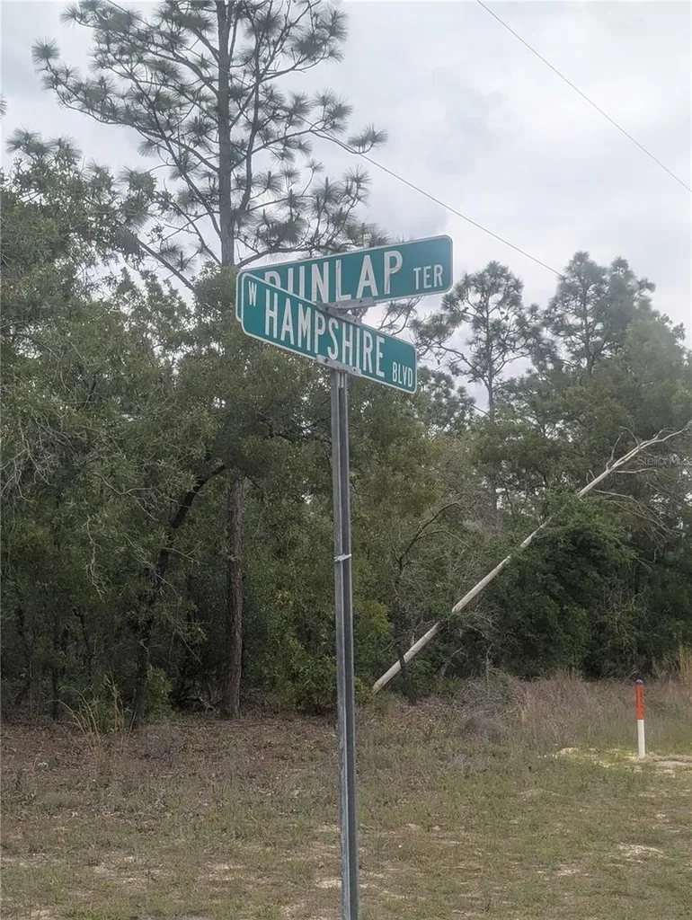 6443 N Dunlap Terrace Citrus Springs FL 34433