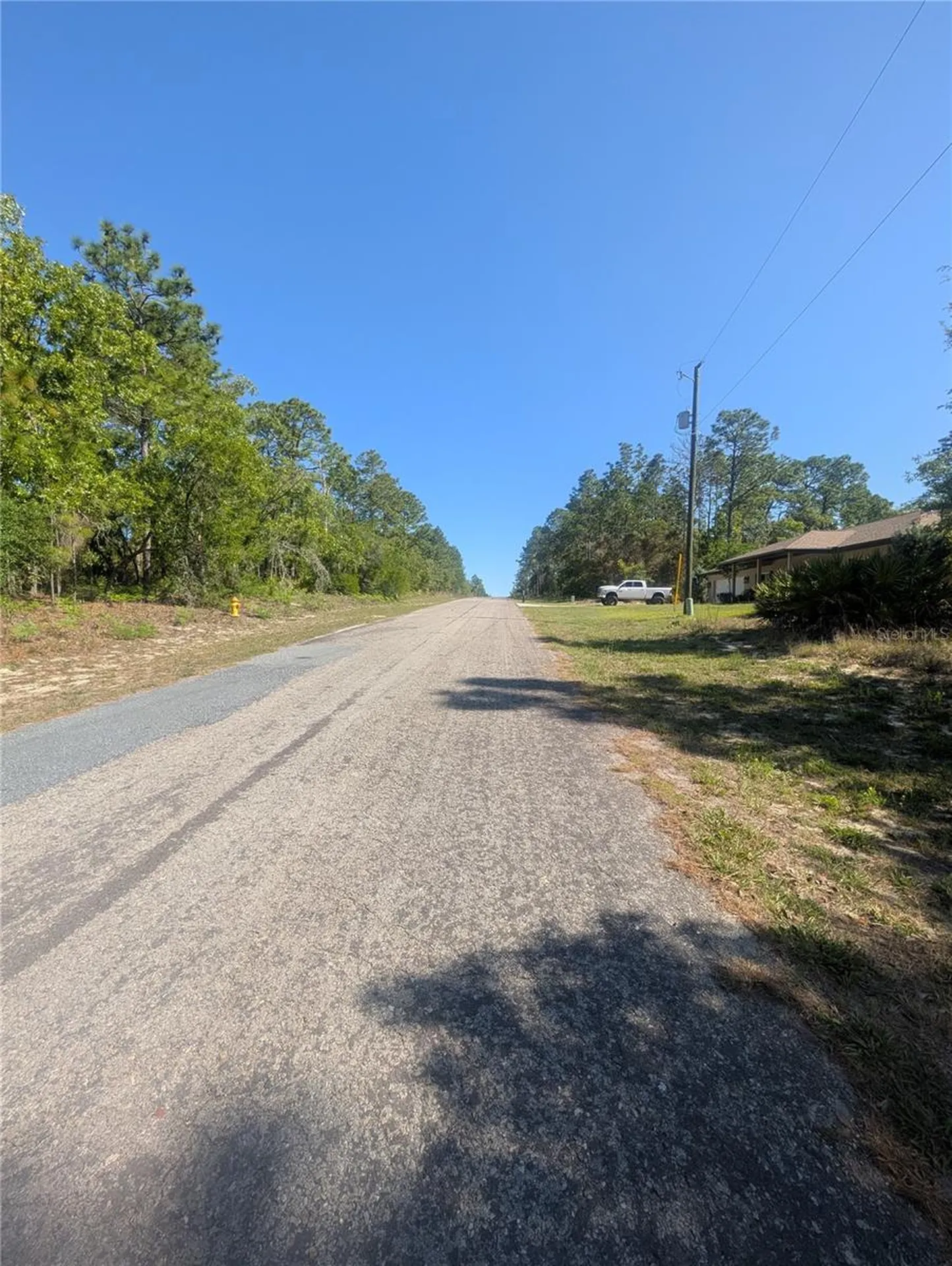 6443 N Dunlap Terrace Citrus Springs FL 34433