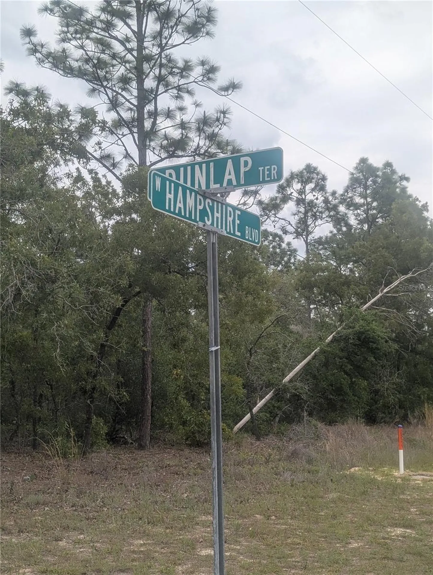 6443 N Dunlap Terrace Citrus Springs FL 34433