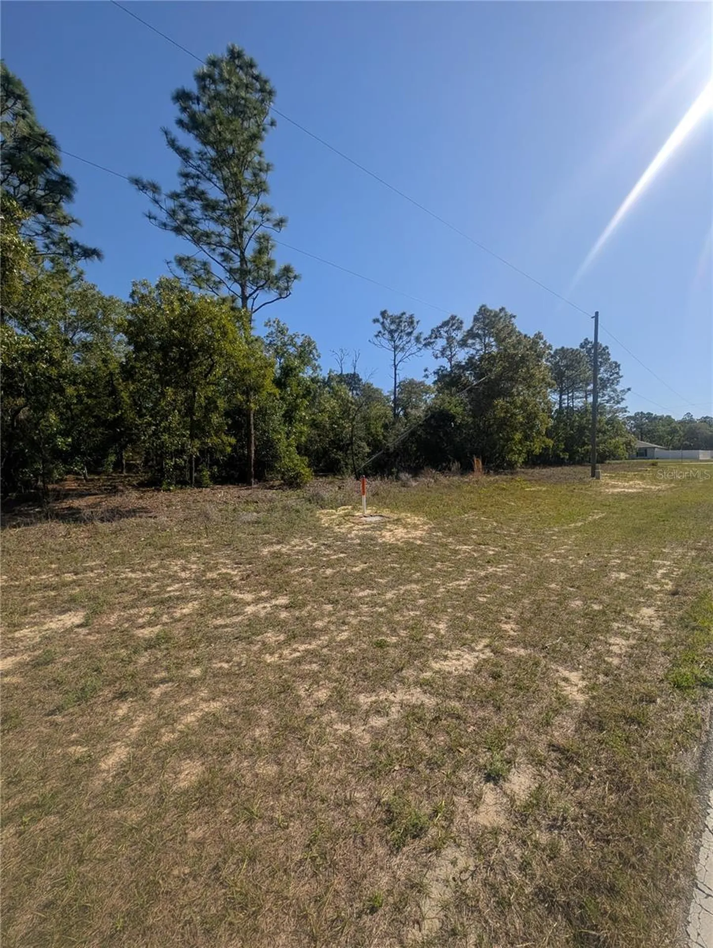 6443 N Dunlap Terrace Citrus Springs FL 34433