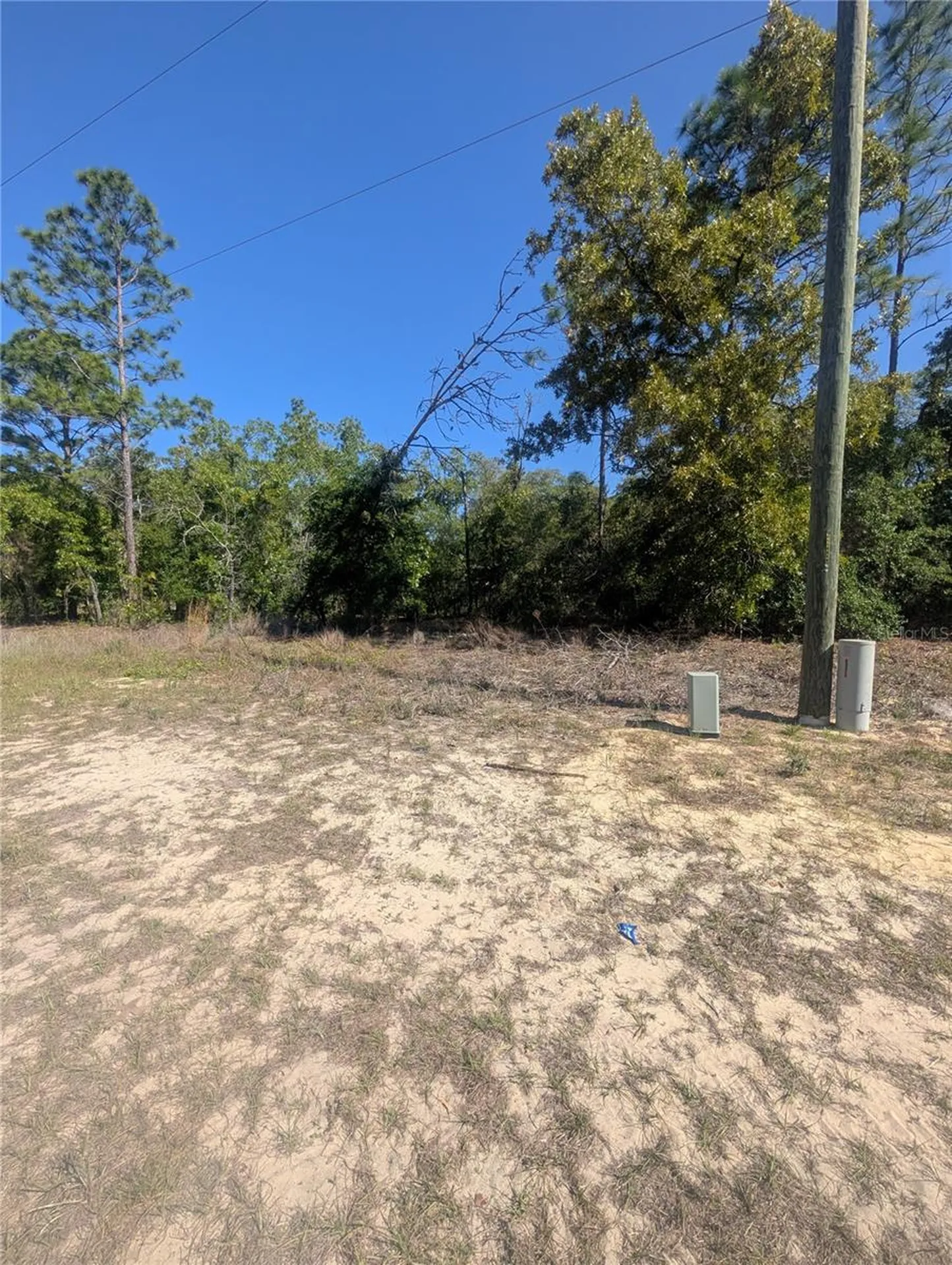 6443 N Dunlap Terrace Citrus Springs FL 34433