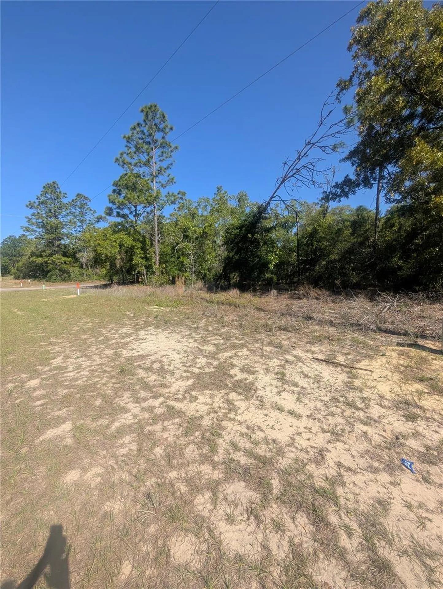 6443 N Dunlap Terrace Citrus Springs FL 34433