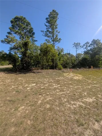 6443 N Dunlap Terrace Citrus Springs FL 34433