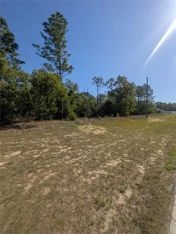 6443 N Dunlap Terrace Citrus Springs FL 34433