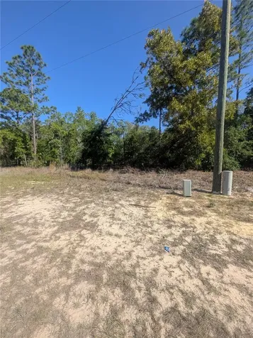 6443 N Dunlap Terrace Citrus Springs FL 34433