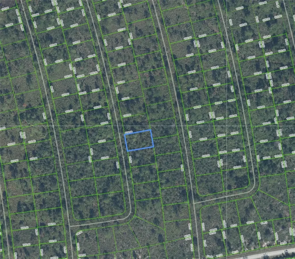 4336 San Pedro Drive Sebring FL 33872
