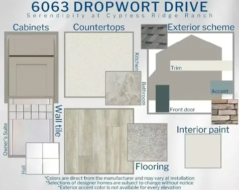 6063 Dropwort Drive Wimauma FL 33598