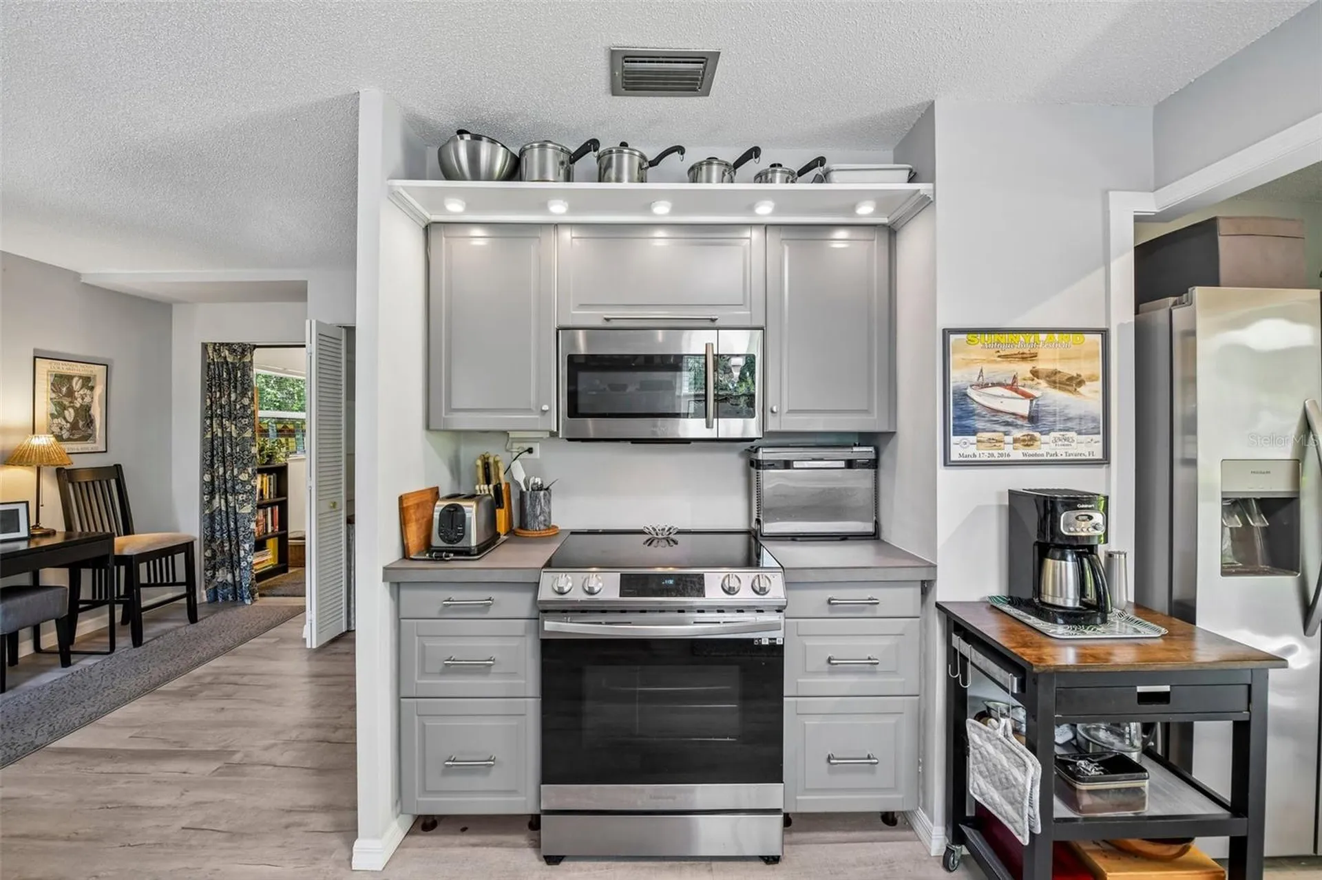 1073 Central Street Mount Dora FL 32757