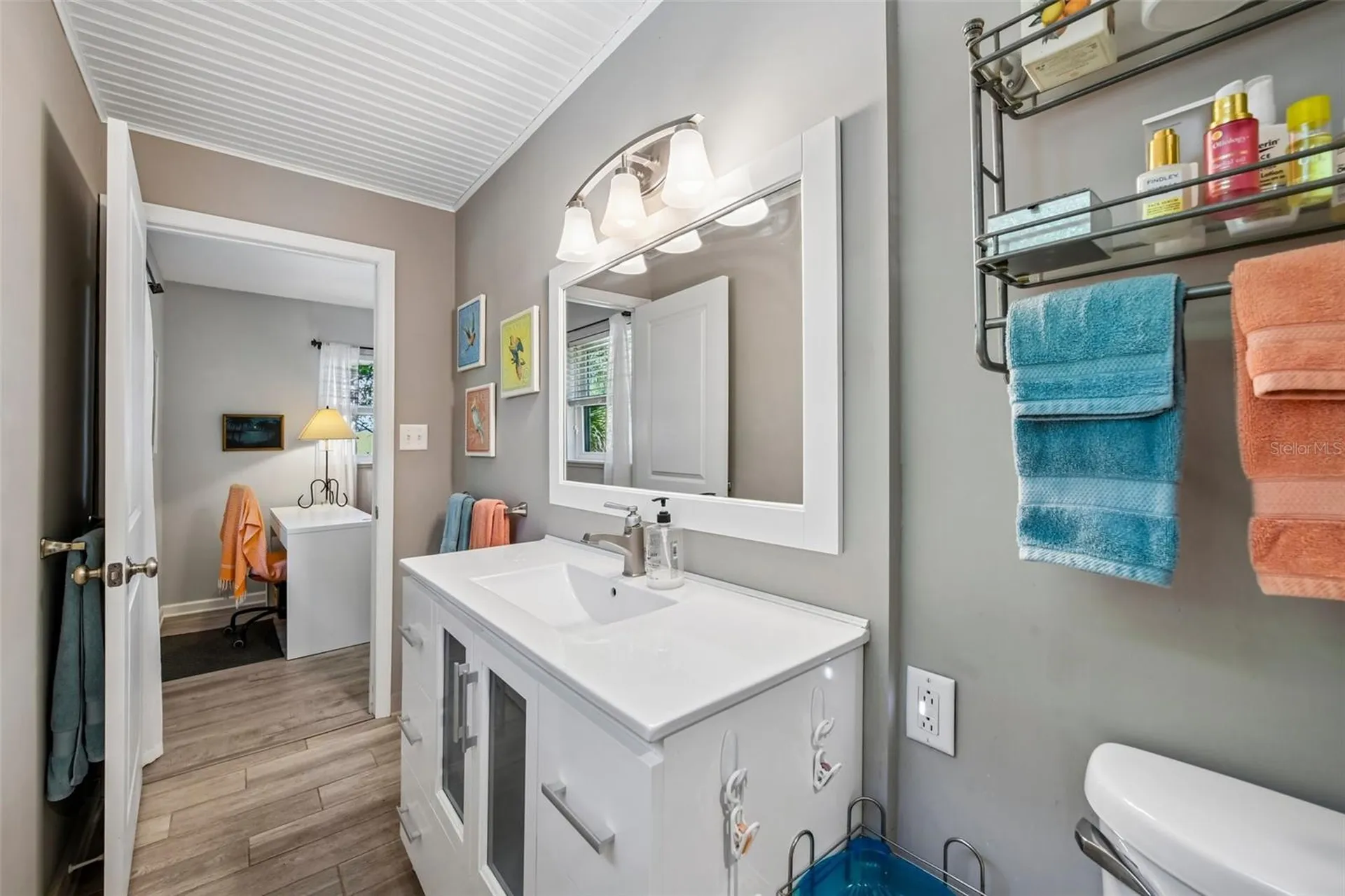 1073 Central Street Mount Dora FL 32757