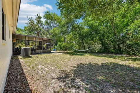 1073 Central Street Mount Dora FL 32757