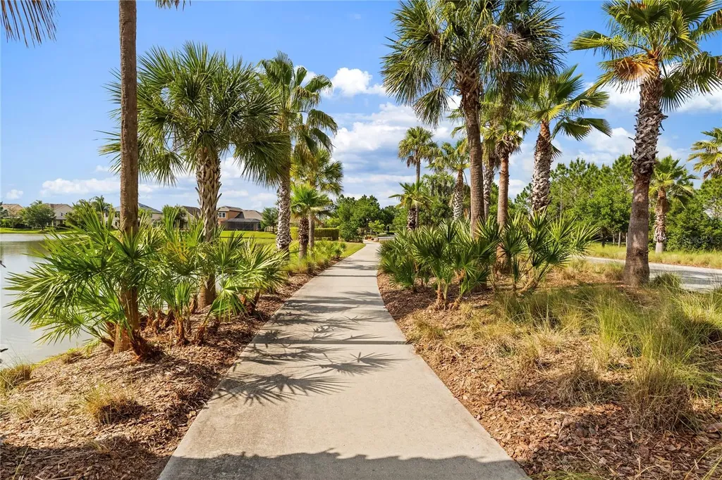 31976 Watoga Loop Wesley Chapel FL 33543