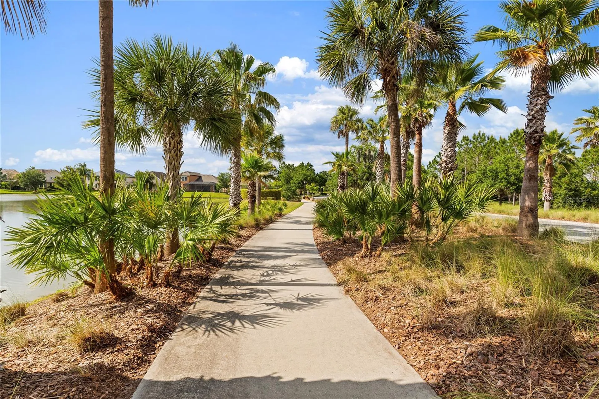 31976 Watoga Loop Wesley Chapel FL 33543
