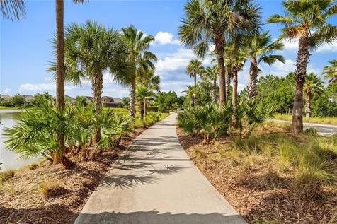 31976 Watoga Loop Wesley Chapel FL 33543