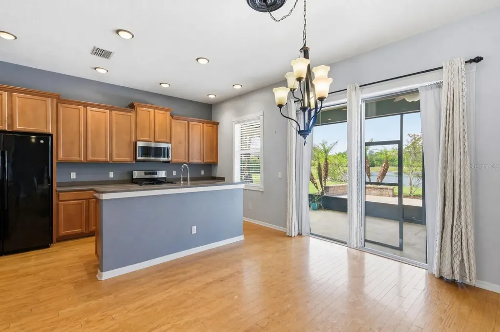 20629 Wild Plum Court Land O Lakes FL 34637