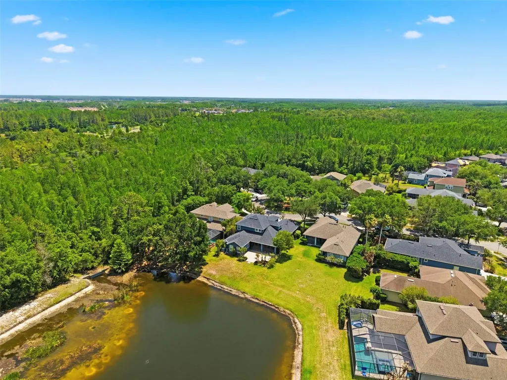 20629 Wild Plum Court Land O Lakes FL 34637