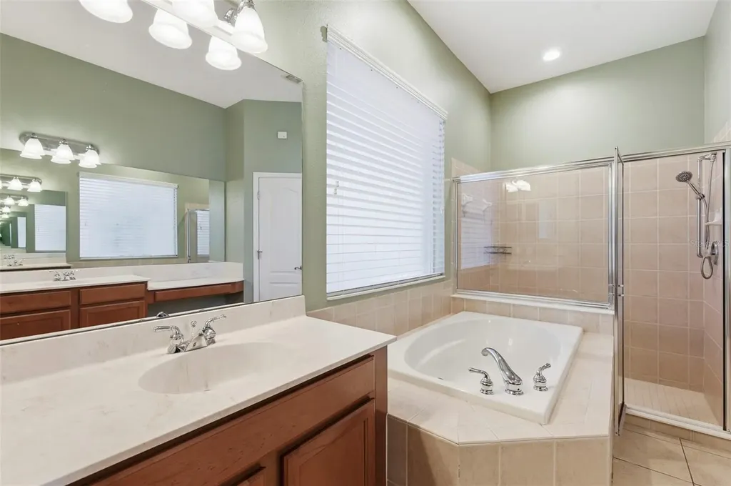 20629 Wild Plum Court Land O Lakes FL 34637