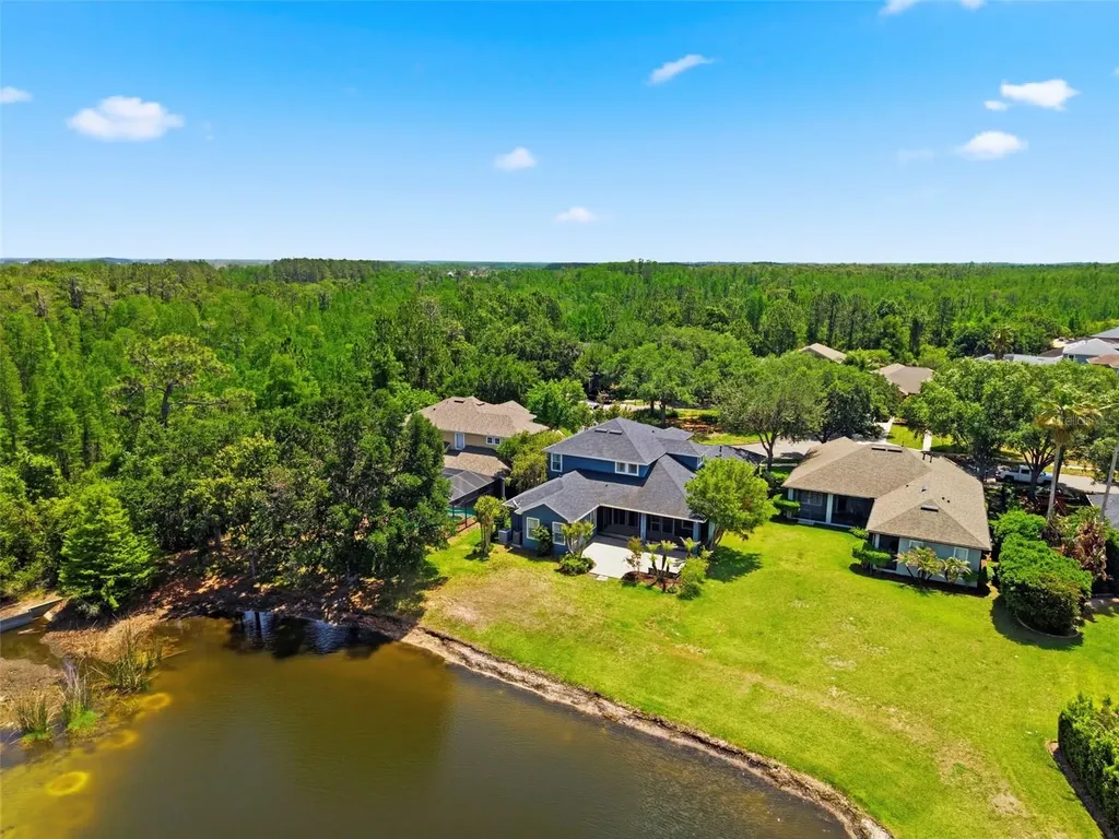 20629 Wild Plum Court Land O Lakes FL 34637