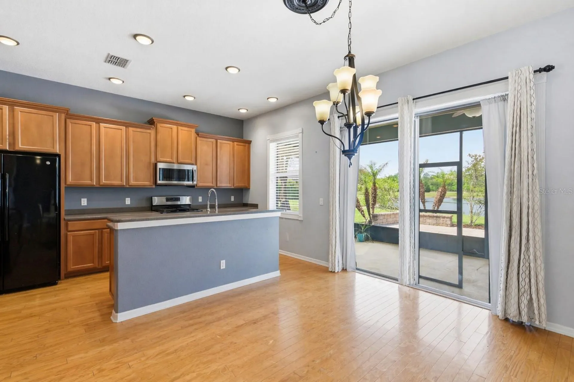 20629 Wild Plum Court Land O Lakes FL 34637