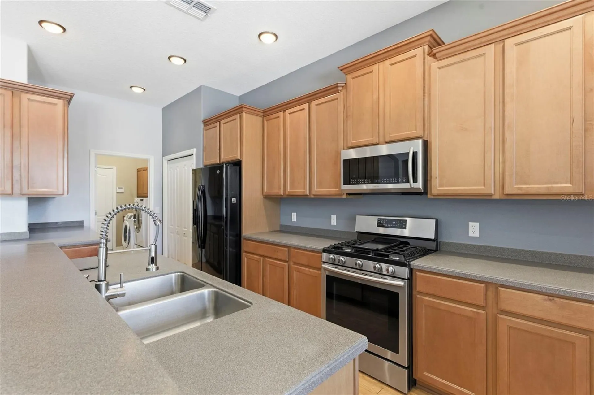 20629 Wild Plum Court Land O Lakes FL 34637