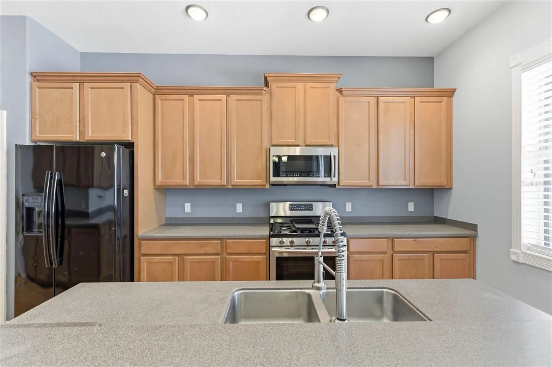 20629 Wild Plum Court Land O Lakes FL 34637